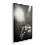 Front view of the heavy-weight black and white canvas wall art print of Amy Winehouse.