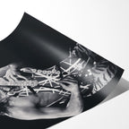 Angled close-up of the unframed premium matte black and white Eddie Van Halen 1984 Cow Palace poster print.