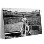 Premium gallery-wrapped black and white canvas print of Elton John live at Dodger Stadium in 1975.