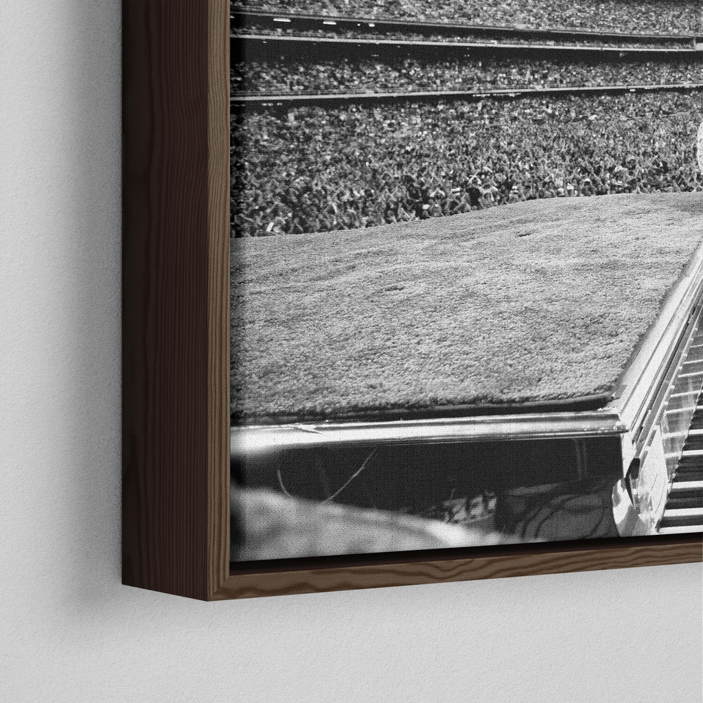 Corner close-up showing the rich grain and joinery of the dark walnut floating canvas frame.