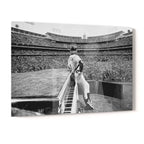 Crystal-clear acrylic glass black and white art print of Elton John 1975 with polished edges.