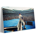 Premium gallery-wrapped colorized canvas print of Elton John live at Dodger Stadium in 1975.