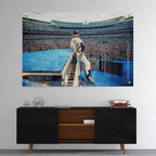 High-gloss acrylic glass colorized print of Elton John displayed above a contemporary console.