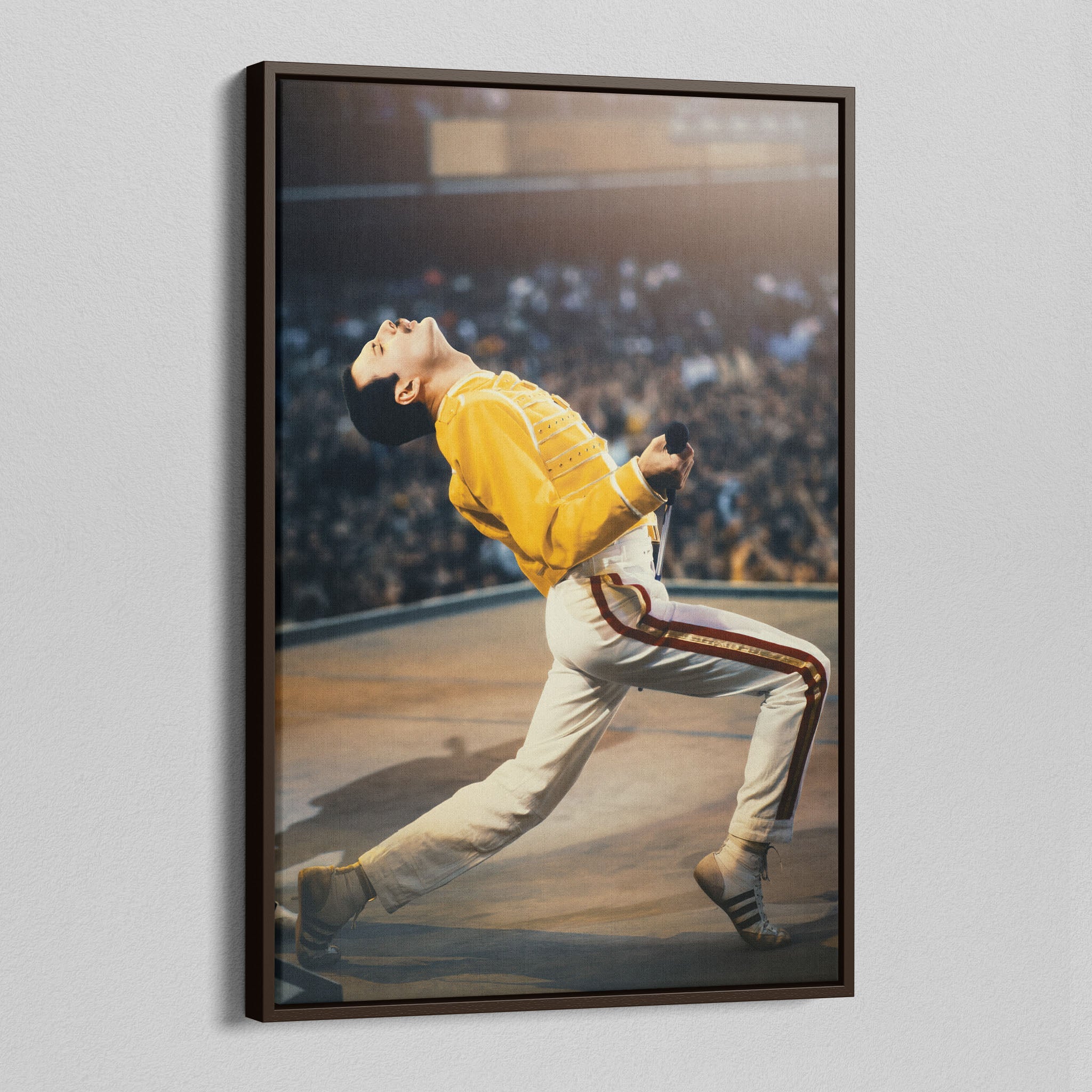 Angled view of the Freddie Mercury colour canvas in a dark walnut floating frame