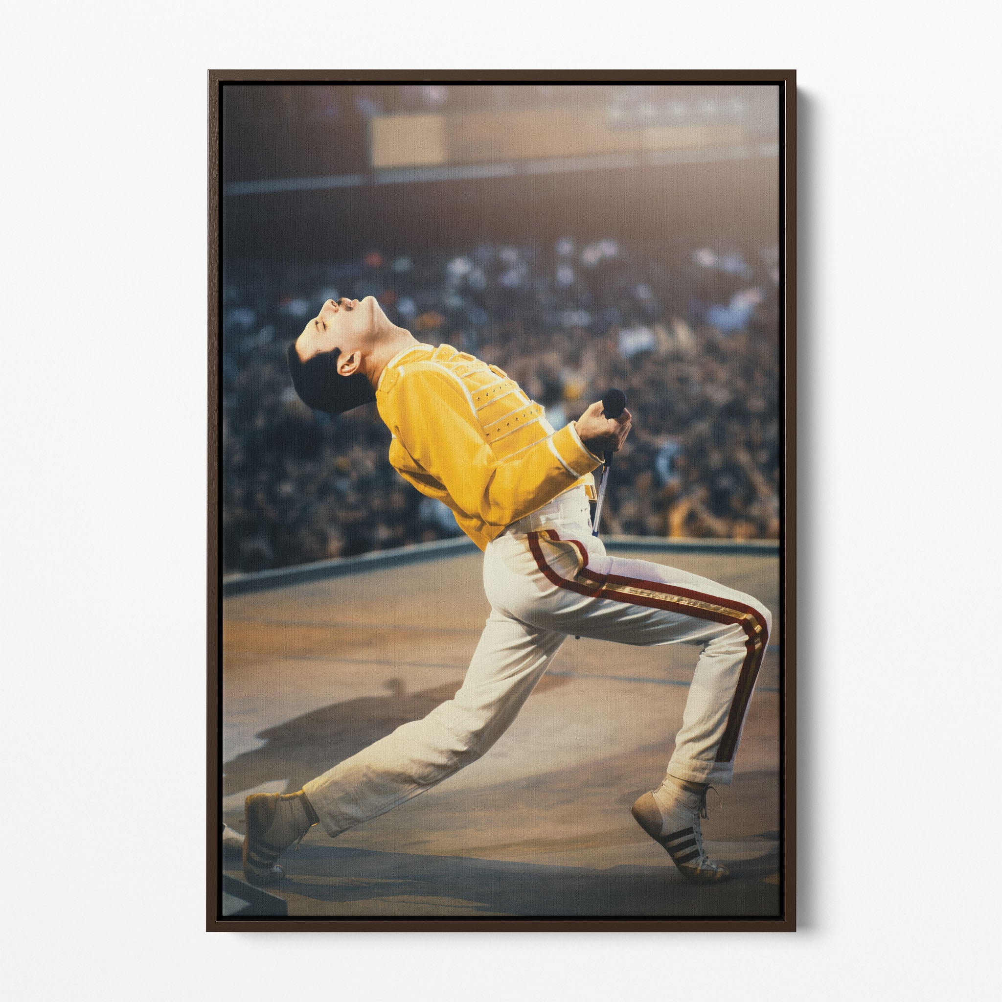 Front display of the Freddie Mercury colour canvas in a dark walnut floating frame
