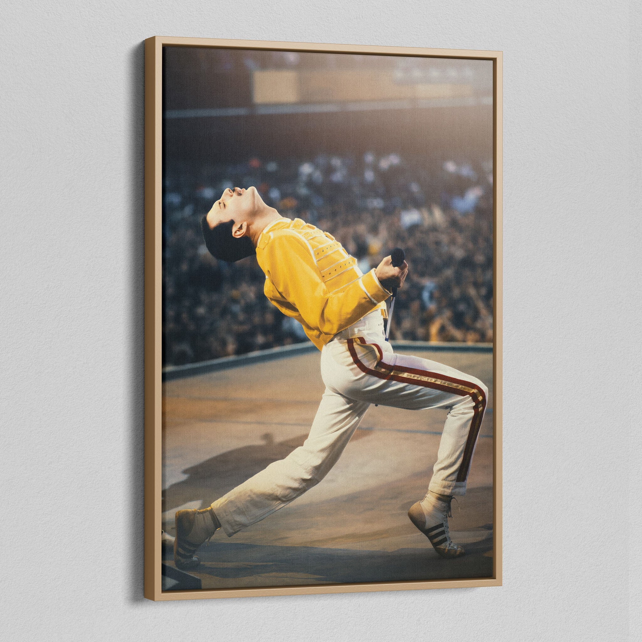 Angled view of the Freddie Mercury colour canvas in a natural oak floating frame