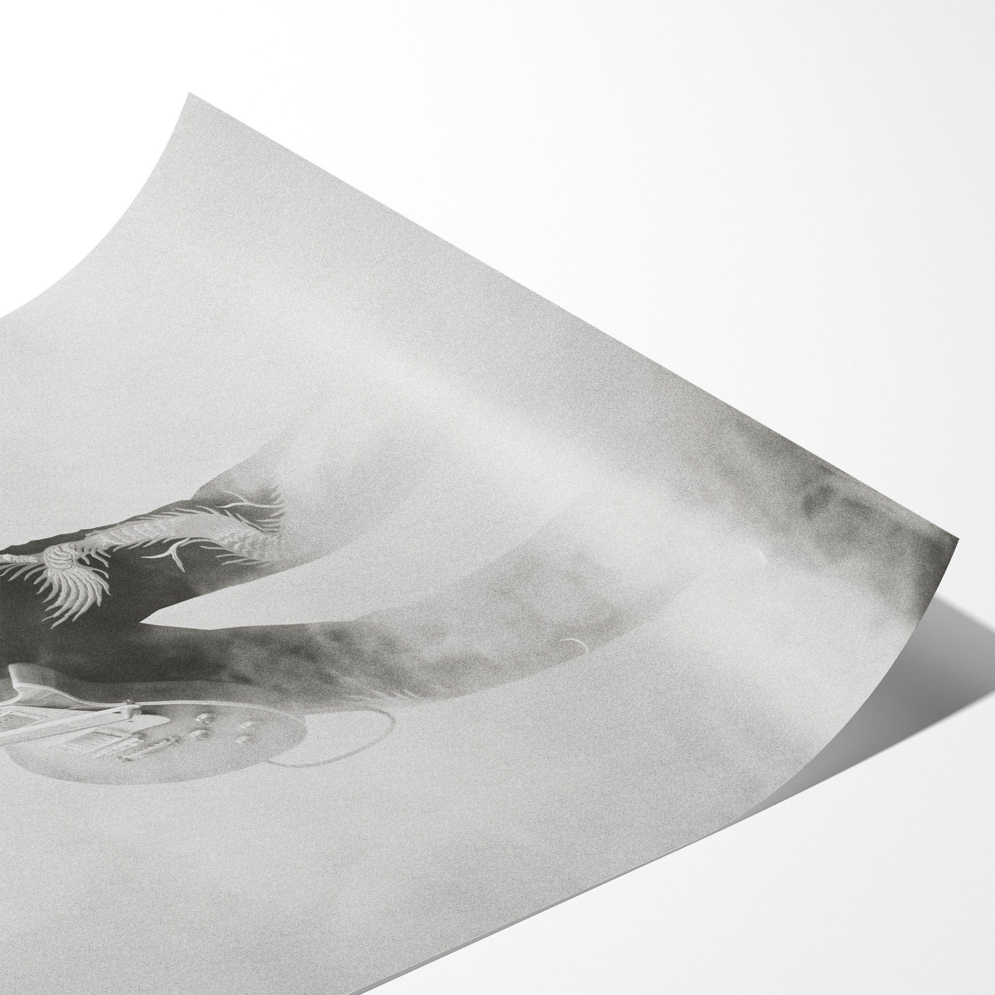 Angled close-up of the unframed Jimmy Page black and white poster showing fine paper detail