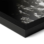 Close-up of the Jimmy Page black and white poster in a classic black wood frame