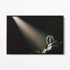 Front display of the Jimmy Page canvas in a dark walnut floating frame