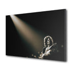 Jimmy Page 1975 MSG metal print displayed on a wall