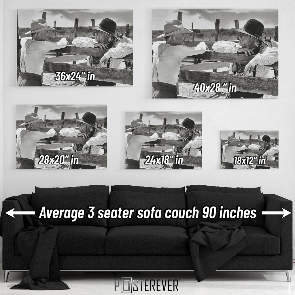 Lonesome Dove wall art size comparison chart shown above a sofa