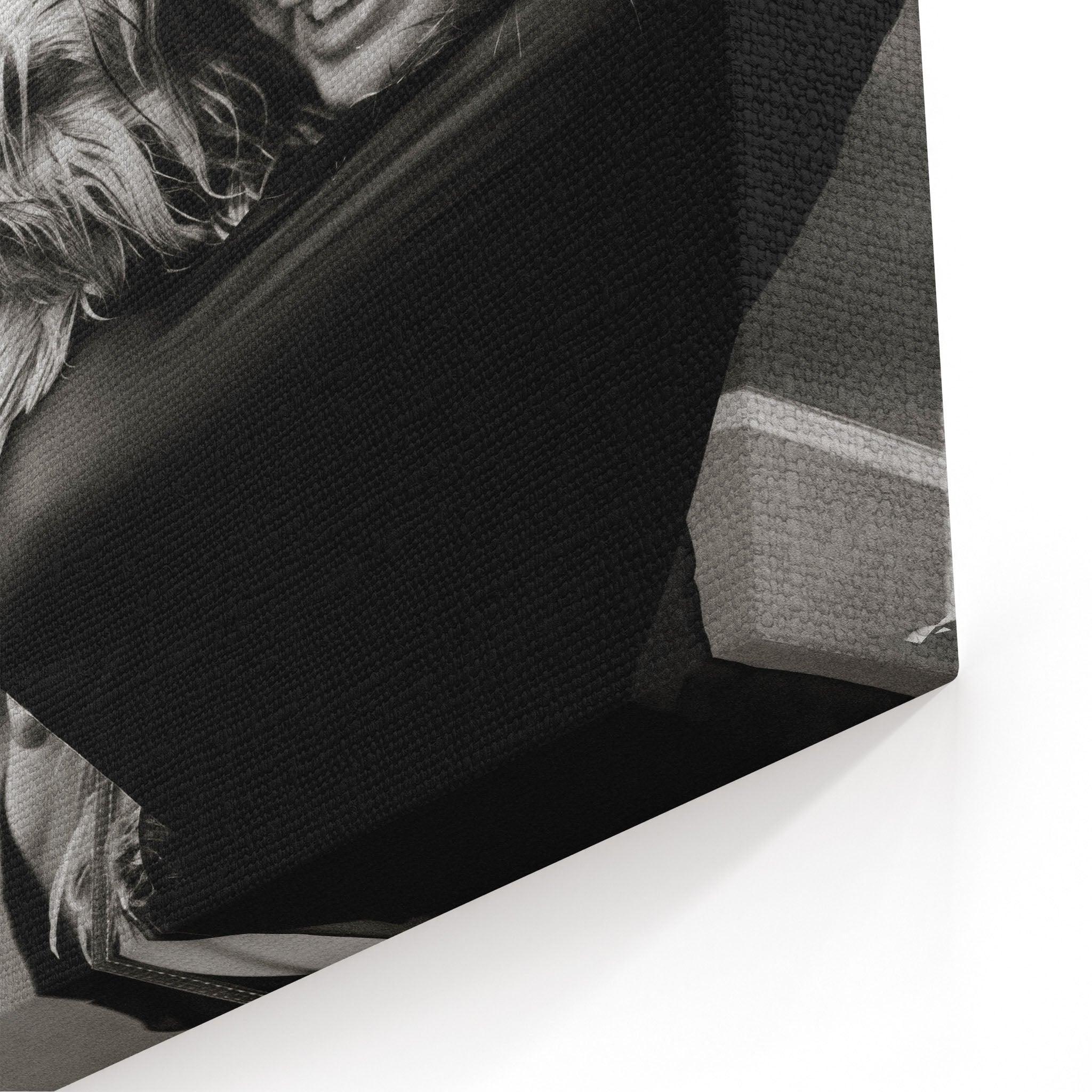 Close-up of the gallery-wrapped canvas edge on the Stevie Nicks black and white portrait