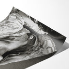 Angled close-up of the unframed Stevie Nicks 1976 black and white portrait poster showing paper detail
