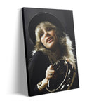 Stevie Nicks 1977 Rumours Tour Oakland Day on the Green colour concert portrait on gallery-wrapped canvas