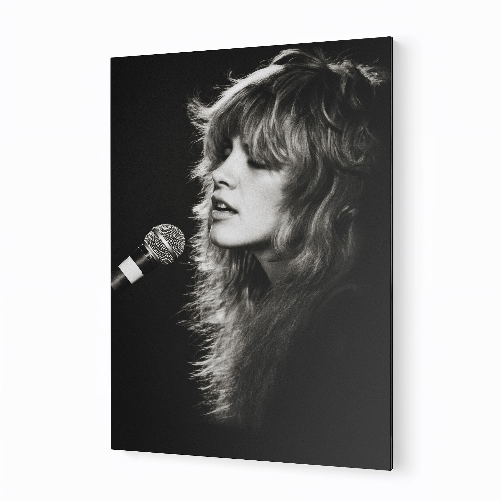 Stevie Nicks Rumours era black and white concert portrait on sleek aluminium metal
