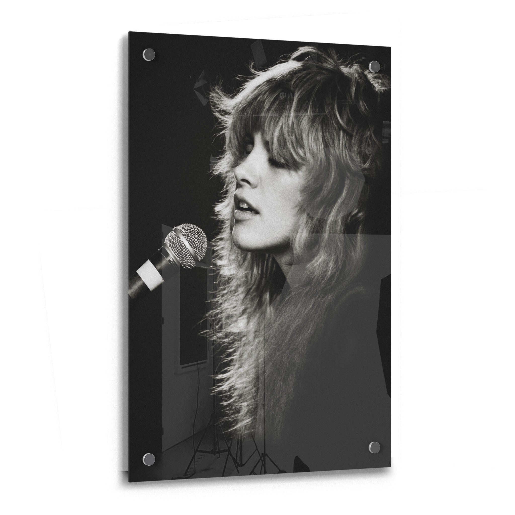 Stevie Nicks Rumours era black and white concert portrait on glossy acrylic glass