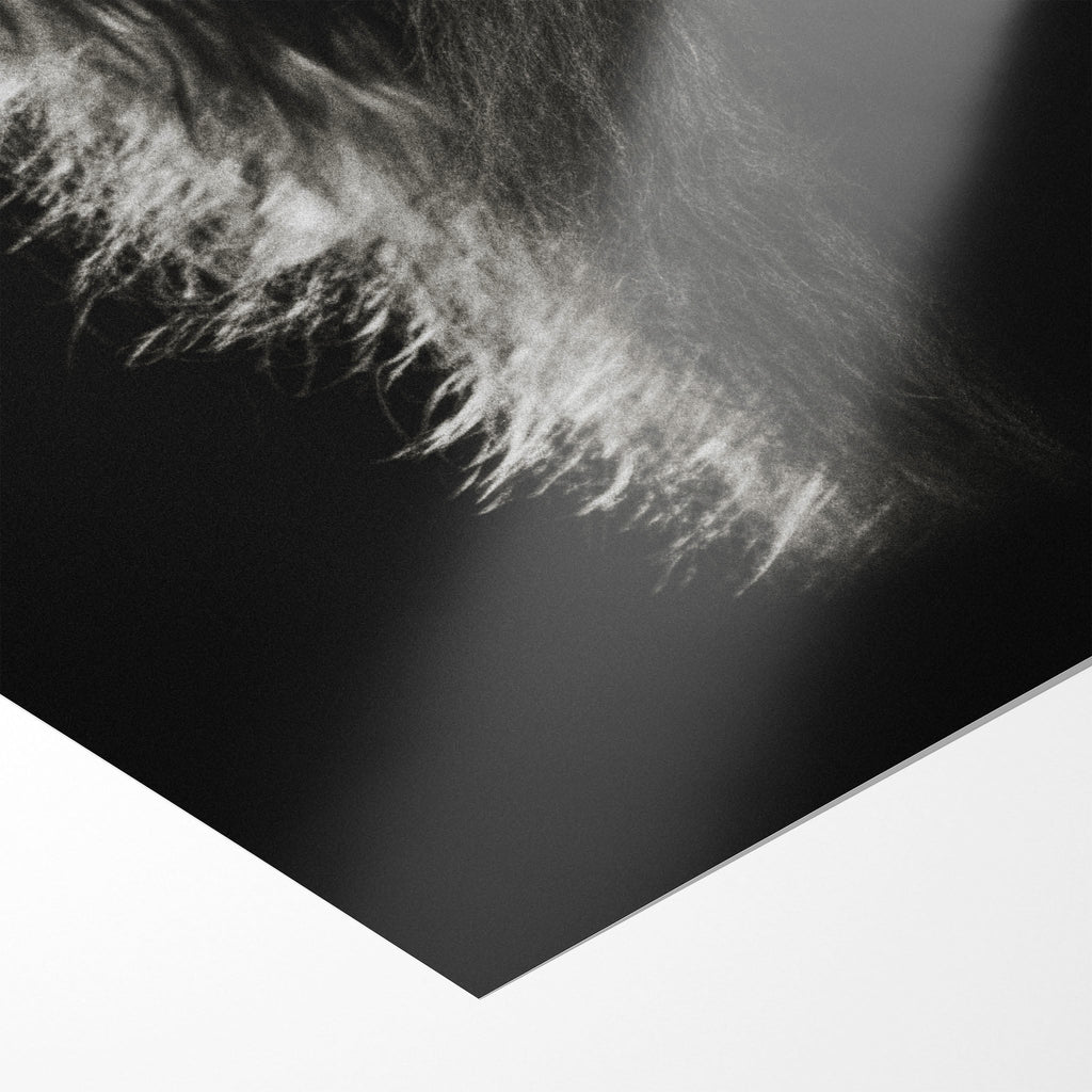 Front close-up of the unframed Stevie Nicks Rumours era black and white concert poster print