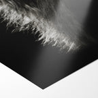 Front close-up of the unframed Stevie Nicks Rumours era black and white concert poster print