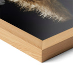 Corner close-up of the Stevie Nicks Rumours era colorized poster in a natural oak frame