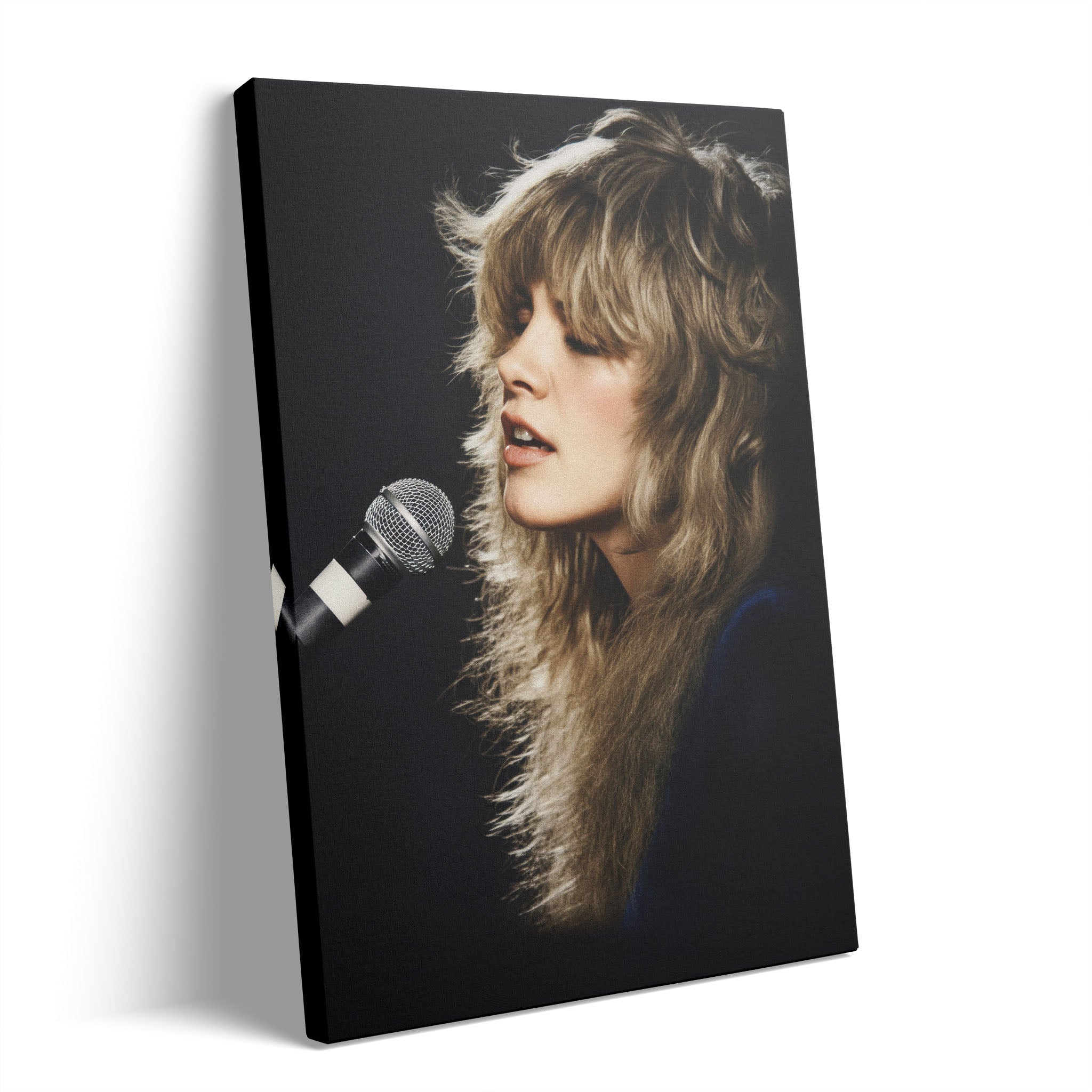 Stevie Nicks Rumours era colorized concert portrait on gallery-wrapped canvas