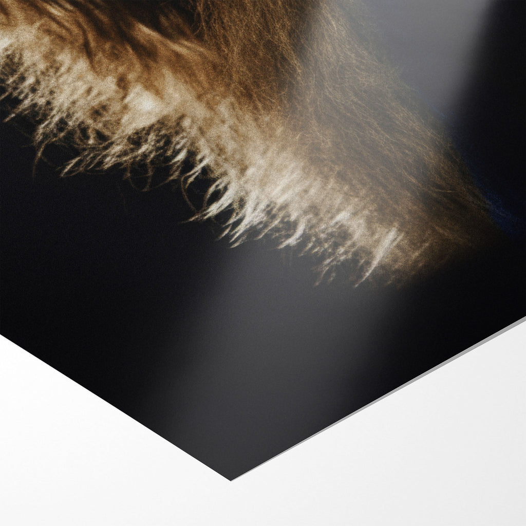 Front close-up of the unframed Stevie Nicks Rumours era colorized concert poster print