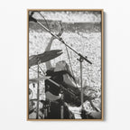 Front view of the Stevie Nicks 1976 Oakland black and white canvas in a natural oak floating frame