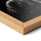 Corner close-up of the Stevie Ray Vaughan 1985 Laramie black and white poster in a natural oak frame
