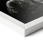 Corner close-up of the Stevie Ray Vaughan 1985 Laramie black and white poster in a classic white frame